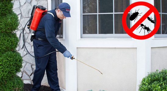 Çobanlar Böcek ve Haşere İlaçlama böcek ilaçlama ve haşere kontrolü — ilaclama-tr.com